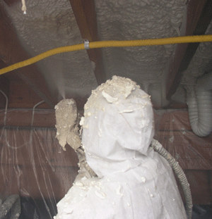 Ft. Lauderdale FL crawl space insulation